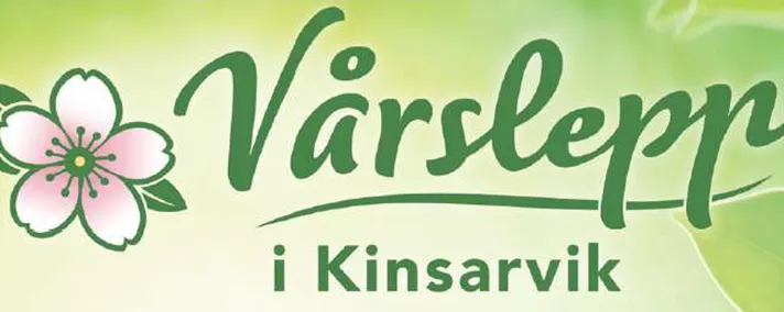 Vårslepp i Kinsarvik