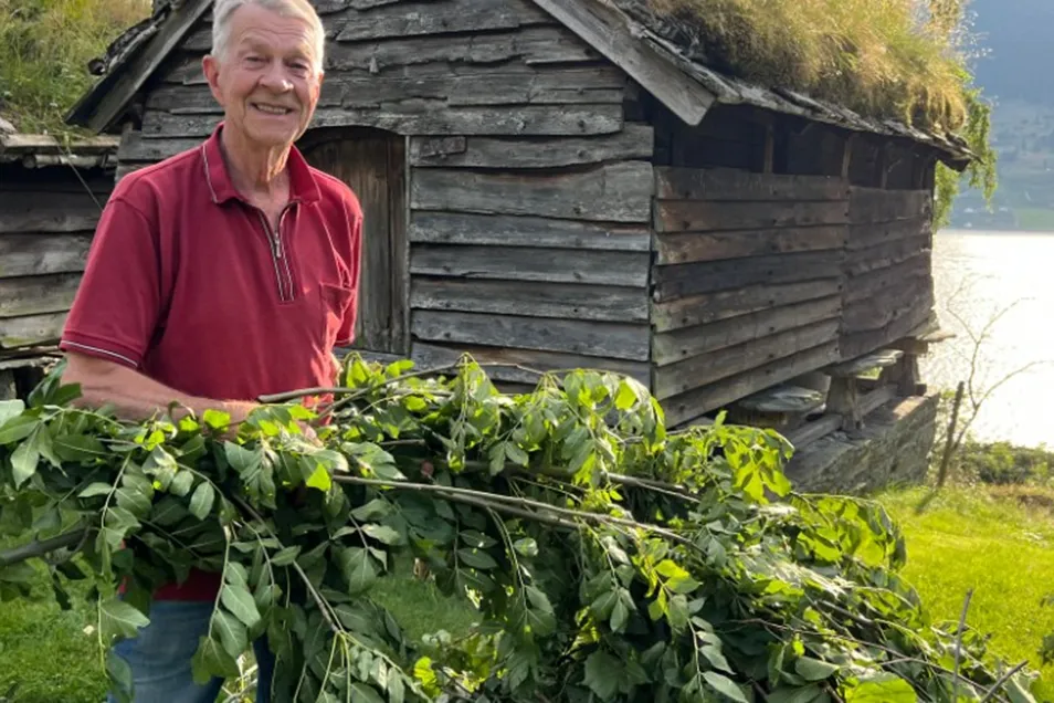 Krotakaker og løvfôrproduksjon