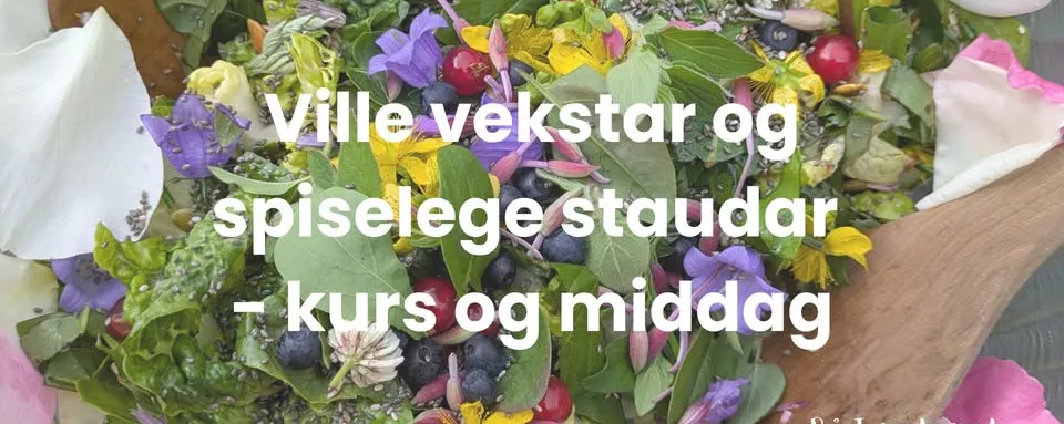  Ville vekstar og spiselege staudar - kurs og middag