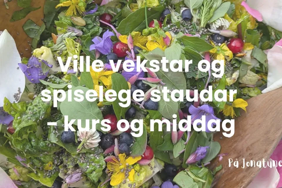 Ville vekstar og spiselege staudar - kurs og middag